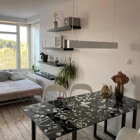 Apartment Husova