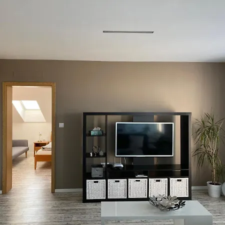 Apartment Husova