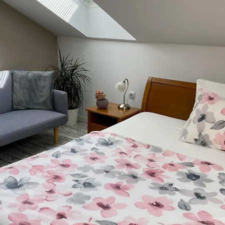 Husova דירה פודבראדי