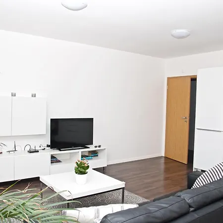 アパート Husova *