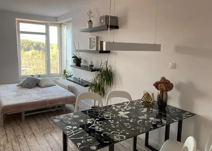 Апартаменты Husova